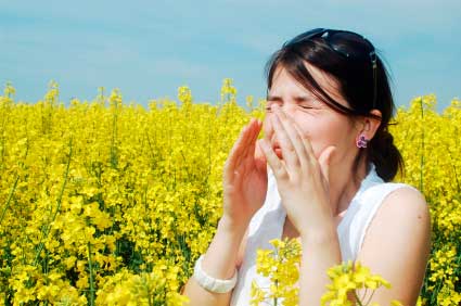 summer allergies