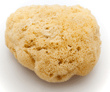 feeling like a sponge