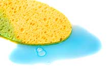 sponge