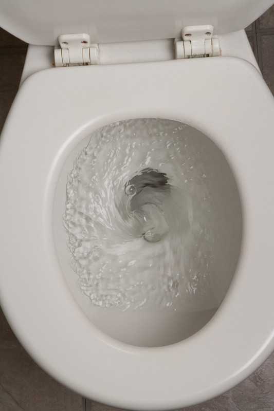 toilet flush