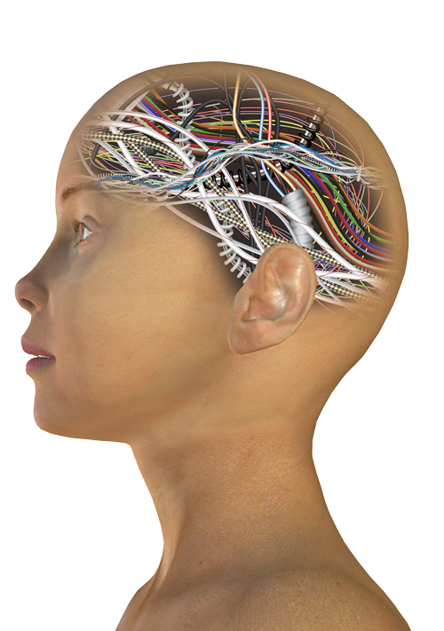 wired to respond to fear