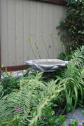 our backyard birdbath