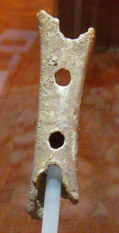 bone flute believed to be over 40,000 years old