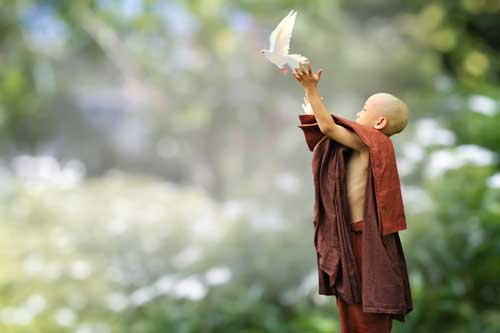 budhist child releasing a dove