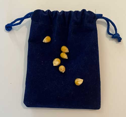 seeds for growth