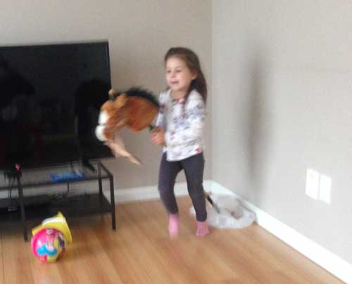 Riding a hobby horse